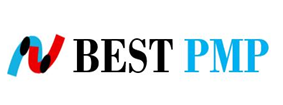 BEST PMP 로고